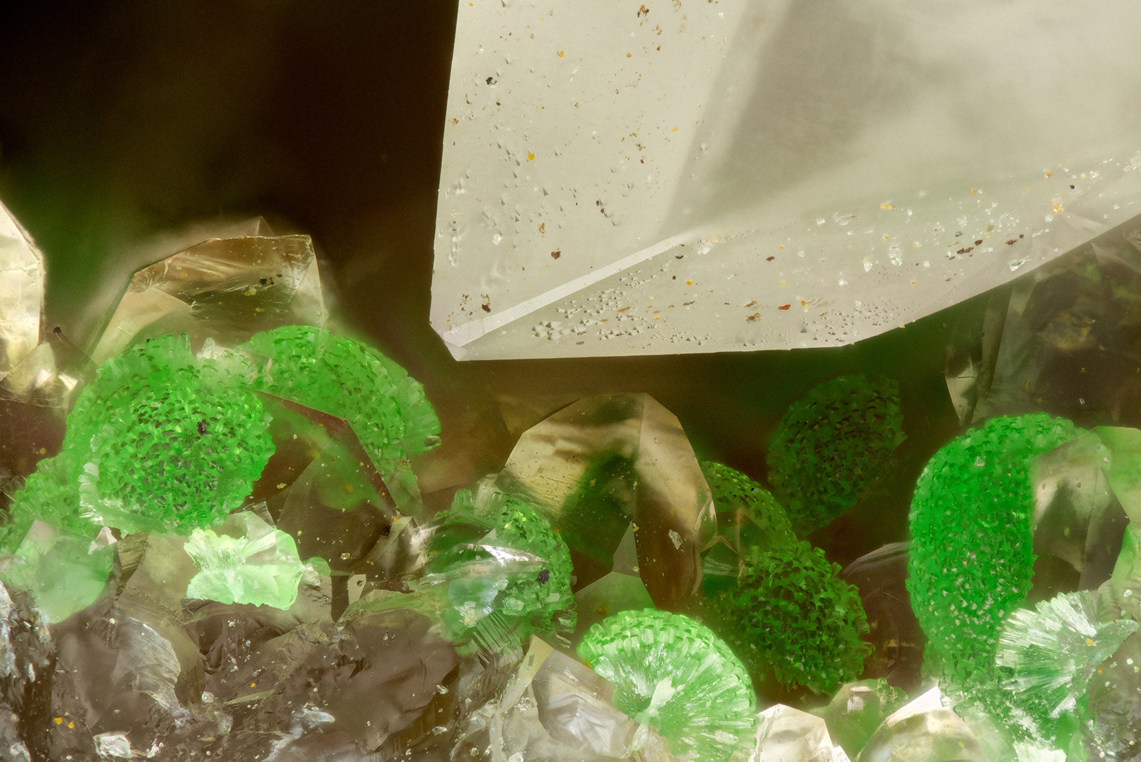 Conichalcite
FOV = 1.5 mm
(Autor: Doug)