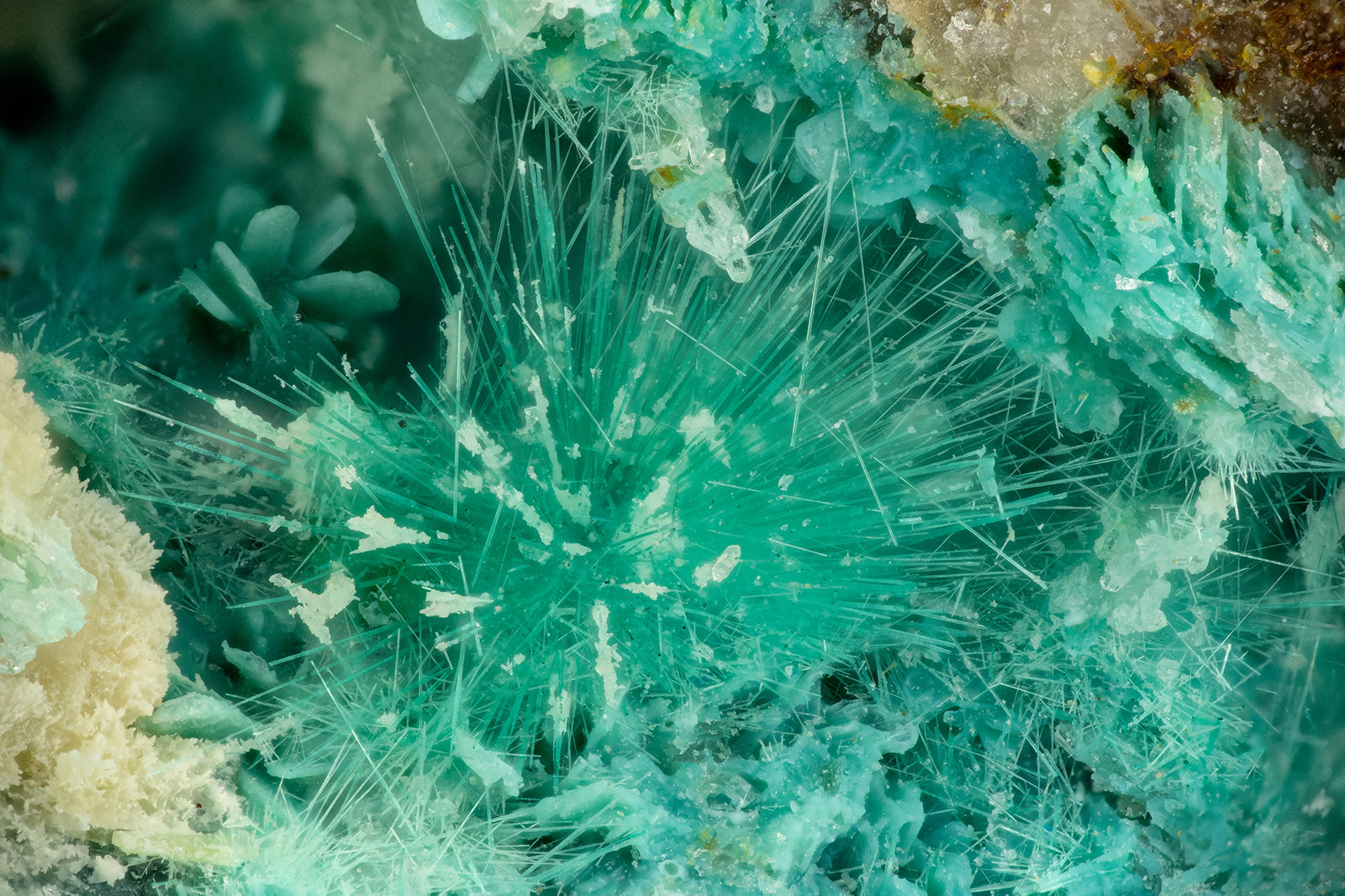 Mixite
FOV = 3.6 mm
(Autor: Doug)