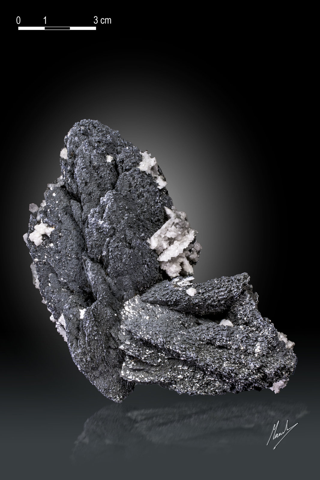 Löllingite and Molybdenite
112 X 83 mm
(Autor: Manuel Mesa)