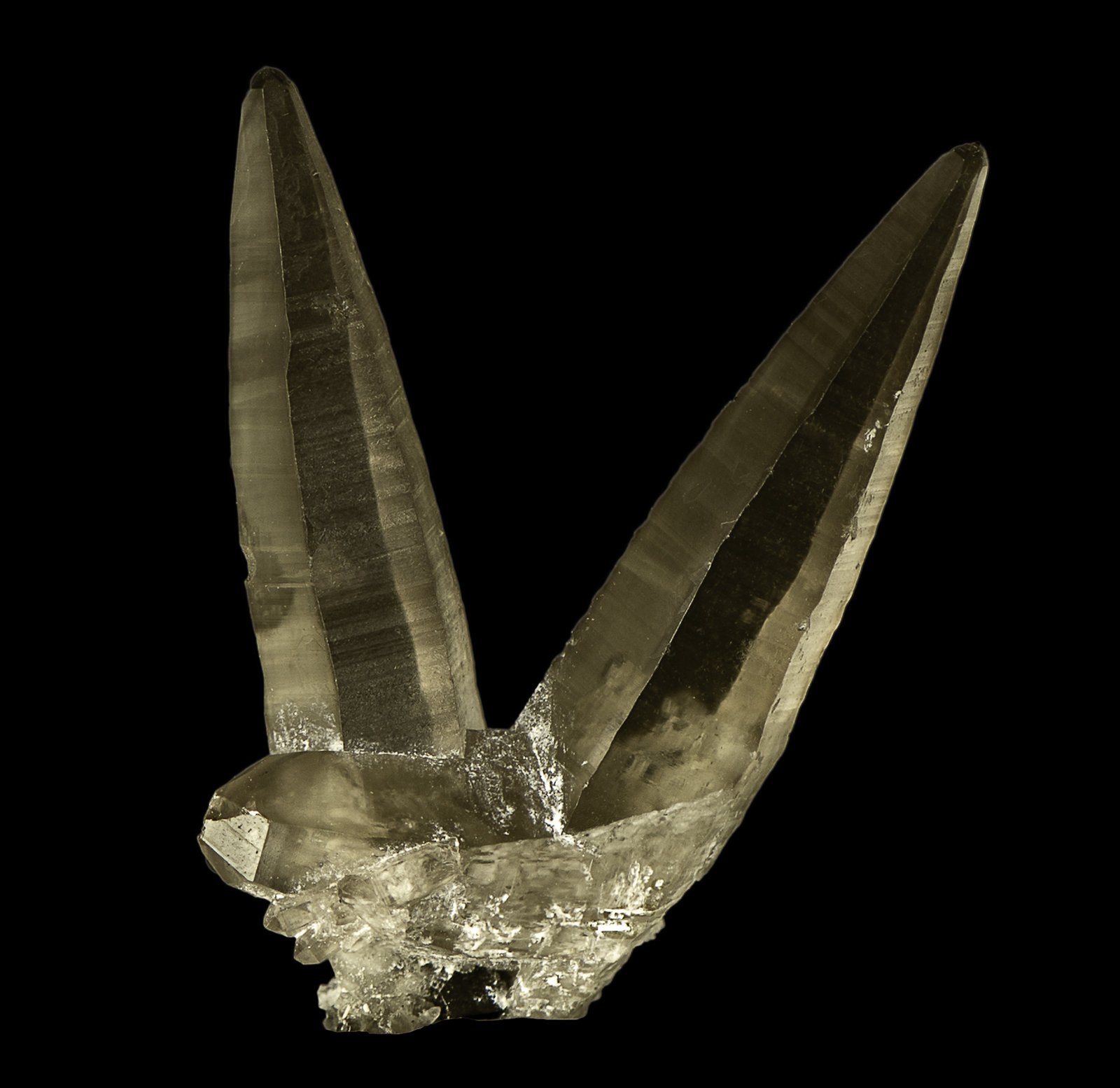 Quartz (variety smoky quartz)
35 x 6 x 25 mm
(Autor: Rob Schnerr)