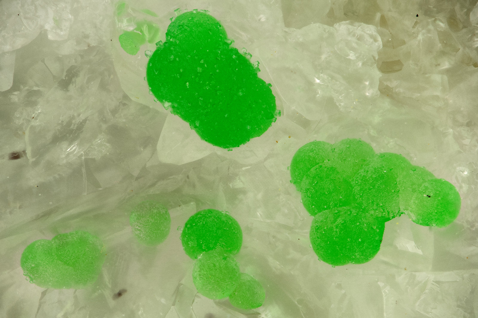 Conichalcite
FOV = 1.6 mm
(Autor: Doug)