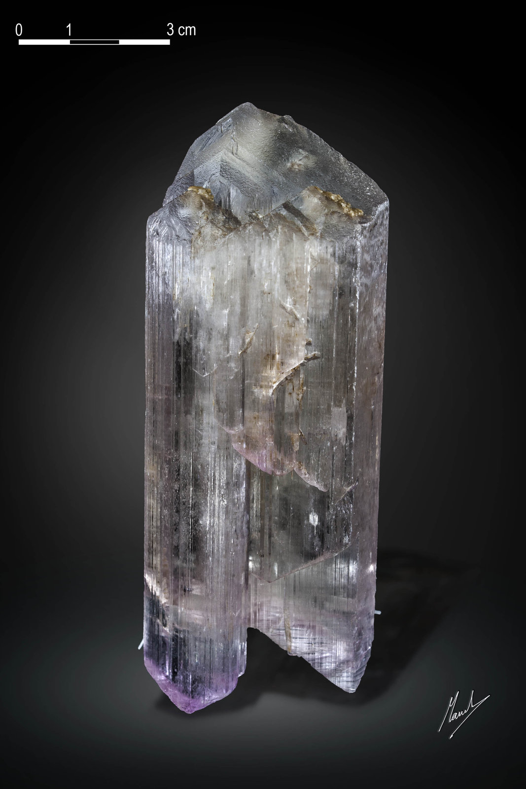 Spodumene (variety kunzite)
123 x 43 mm
(Autor: Manuel Mesa)