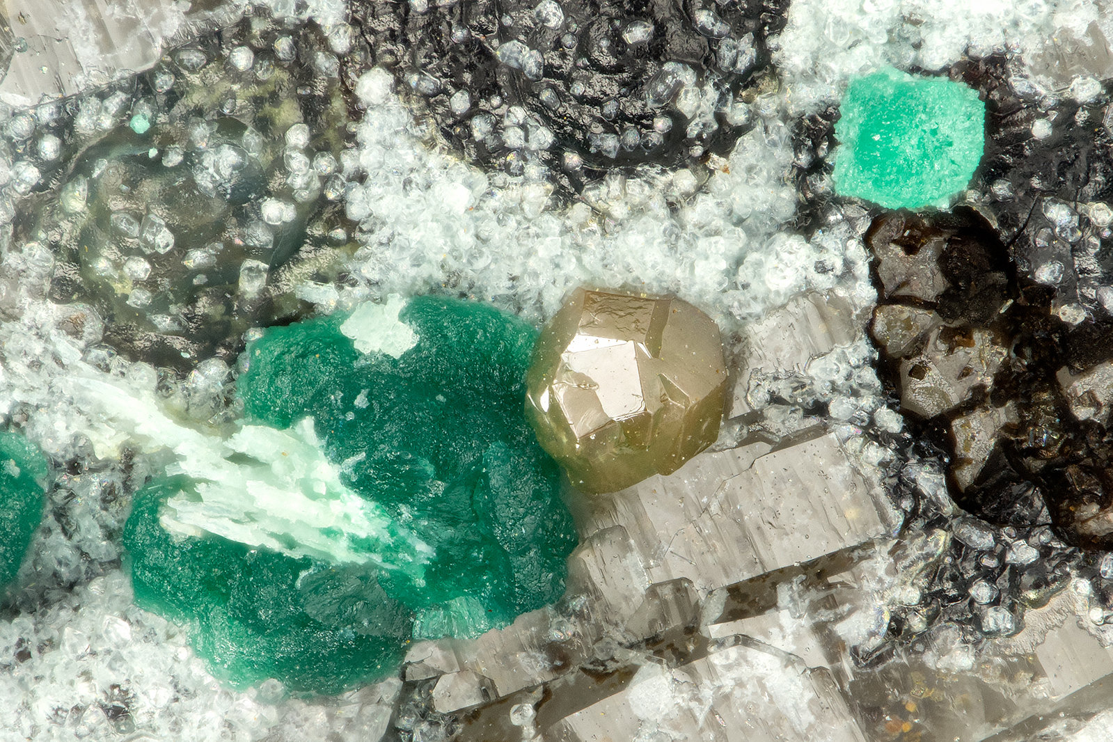 Chlorargyrite, Cornwallite
FOV = 0.9 mm
(Autor: Doug)