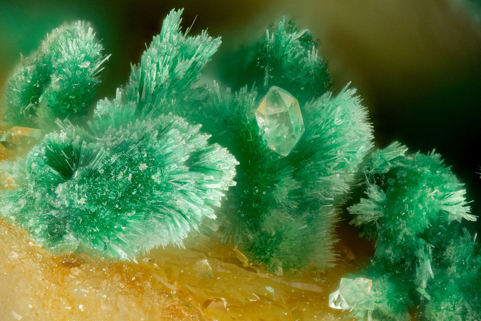 Malachite
FOV = 1.6 mm
(Autor: Doug)