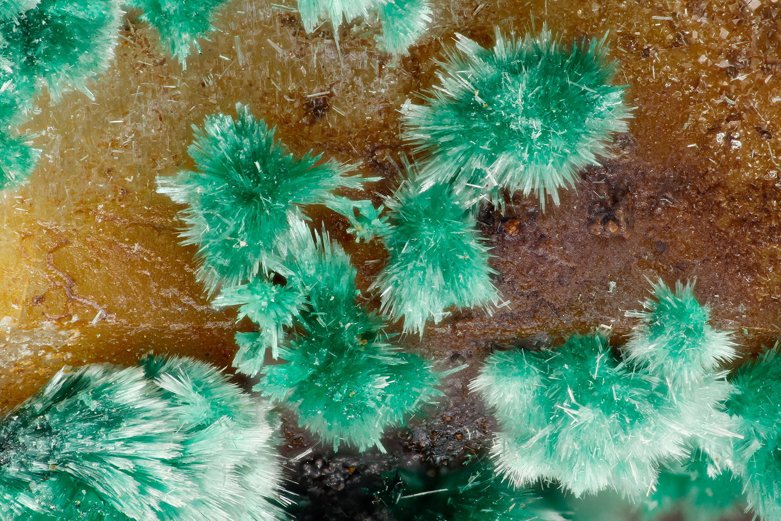 Malachite
FOV = 3.0 mm
(Autor: Doug)
