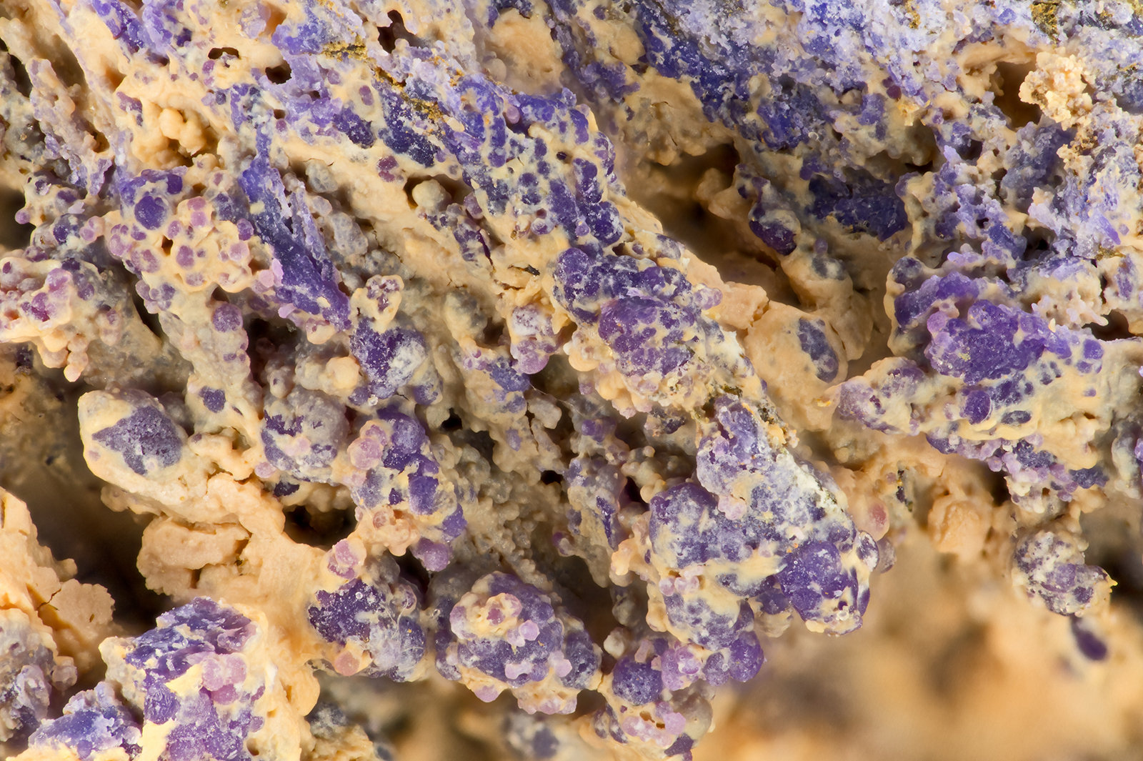 Phosphosiderite
FOV = 3.3 mm
(Autor: Doug)