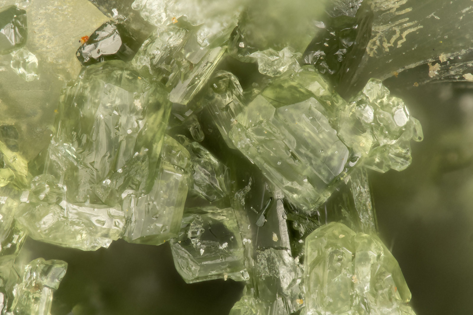 Vesuvianite
FOV = 1.4 mm
(Autor: Doug)