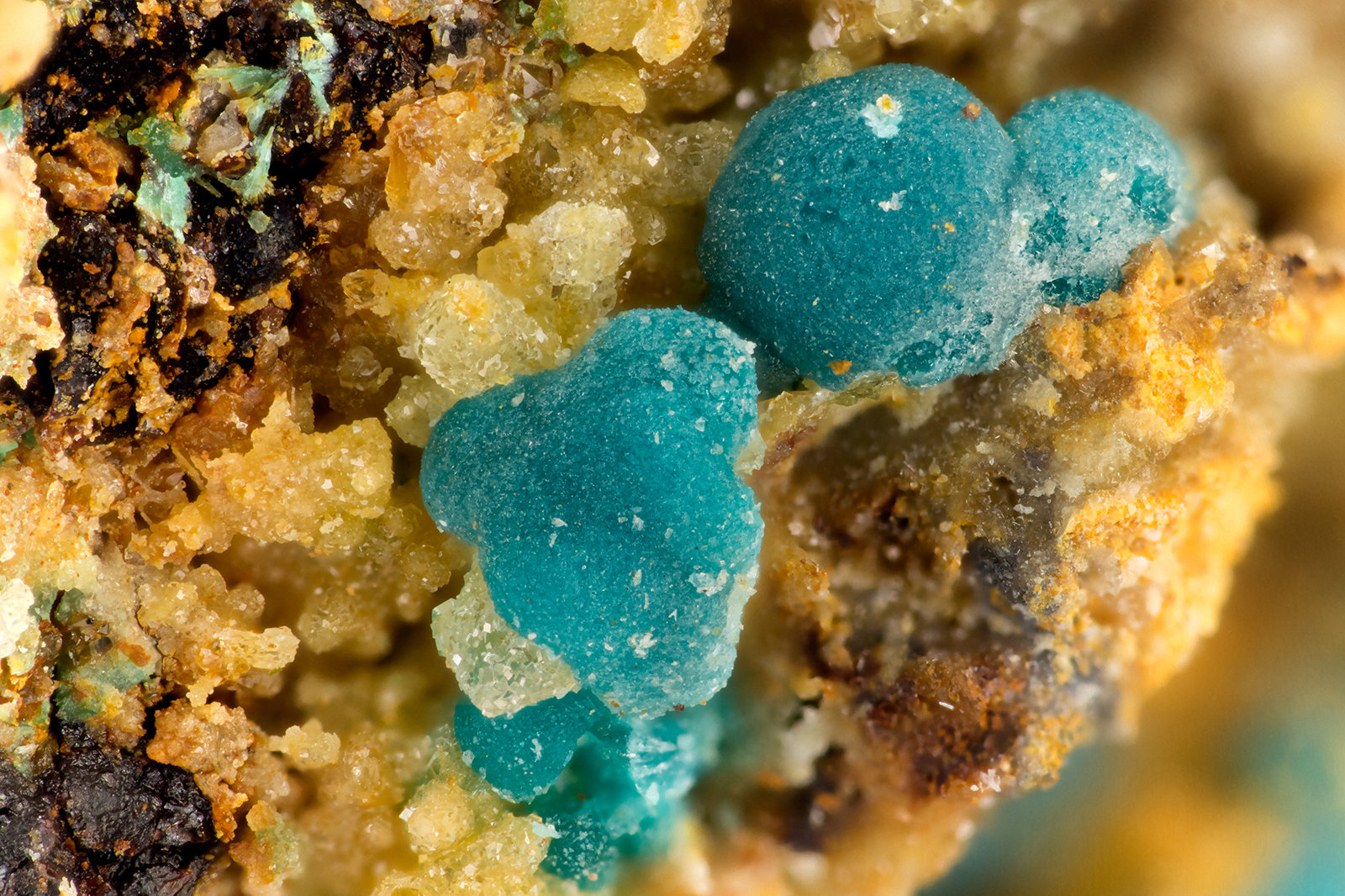 Rosasite
FOV = 3.2 mm
(Autor: Doug)
