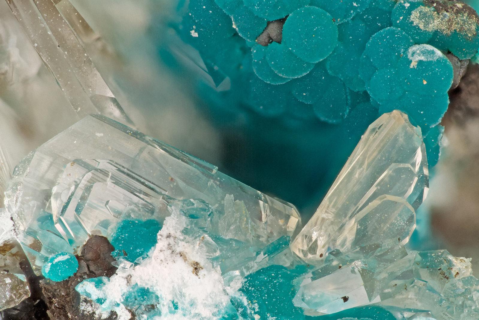 Hemimorphite, Rosasite
FOV = 3.2 mm
(Autor: Doug)