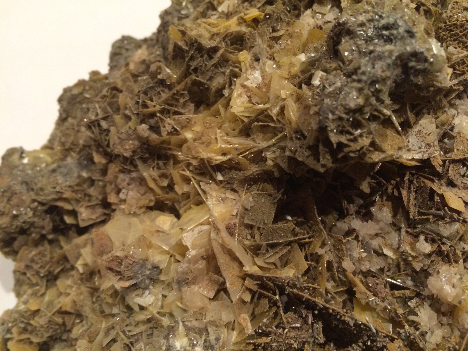 Wulfenite
55 X 40 mm
(Autor: Robert Seitz)