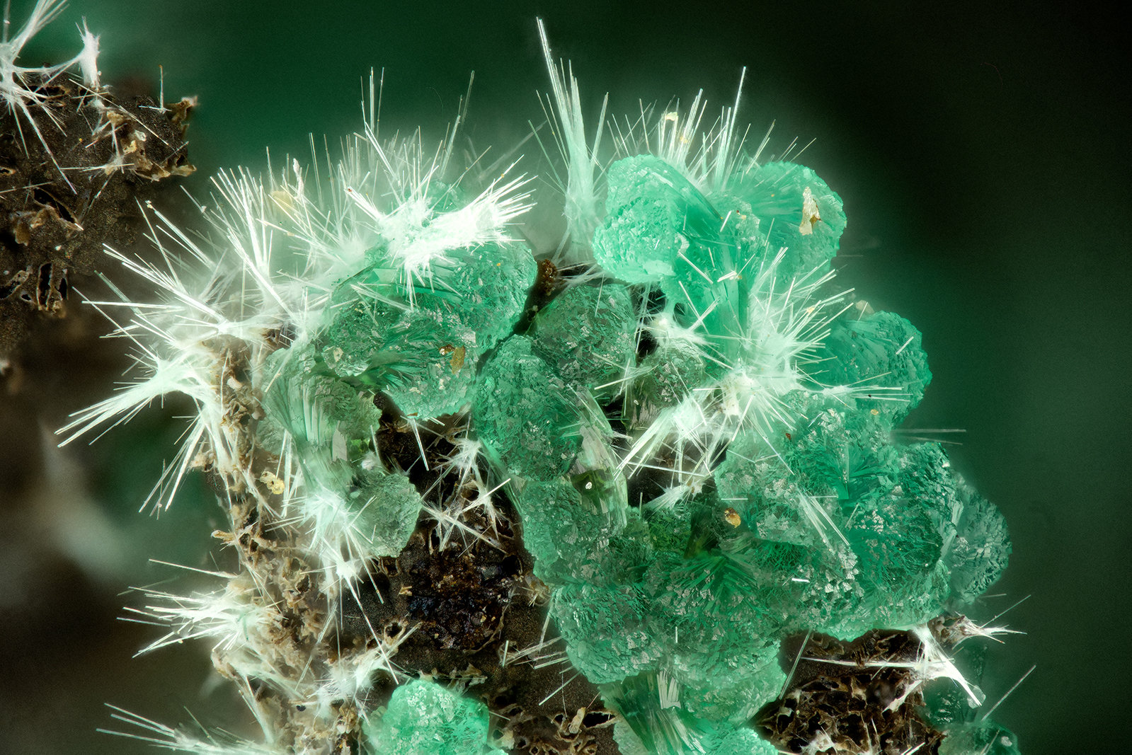 Adamite, Mixite
FOV = 1.8 mm
(Autor: Doug)