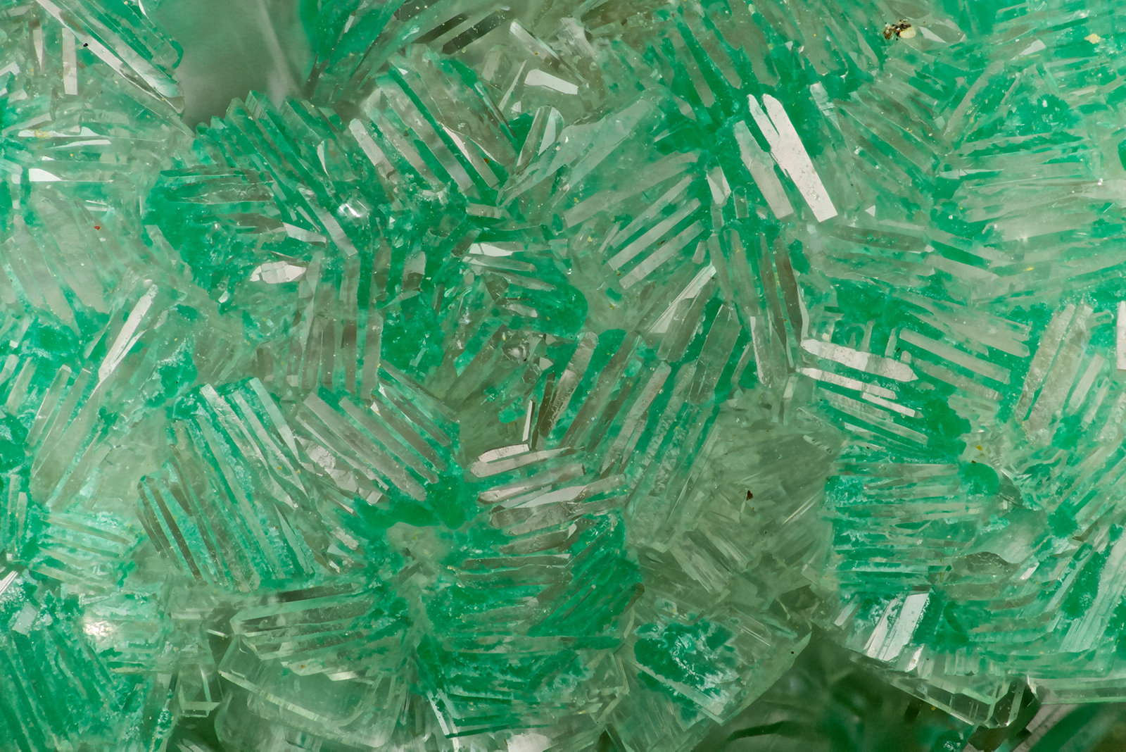 Hemimorphite
FOV = 3.3 mm
(Autor: Doug)