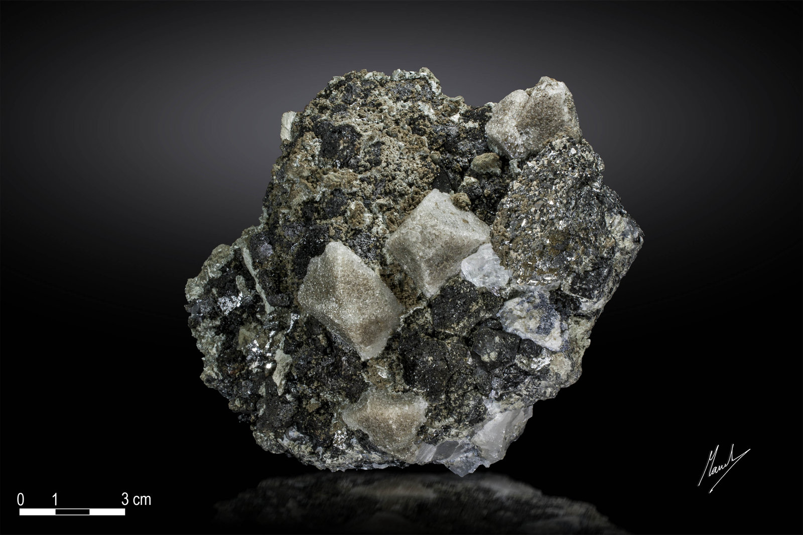 Scheelite, Löllingite and Magnetite
131 X 104 mm
(Autor: Manuel Mesa)
