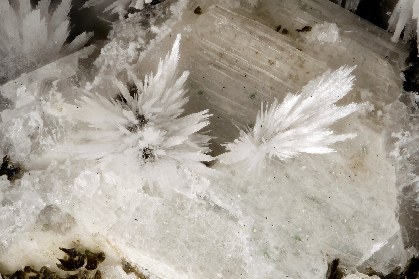 Thomsonite-Ca
FOV = 3.1 mm
(Autor: Doug)