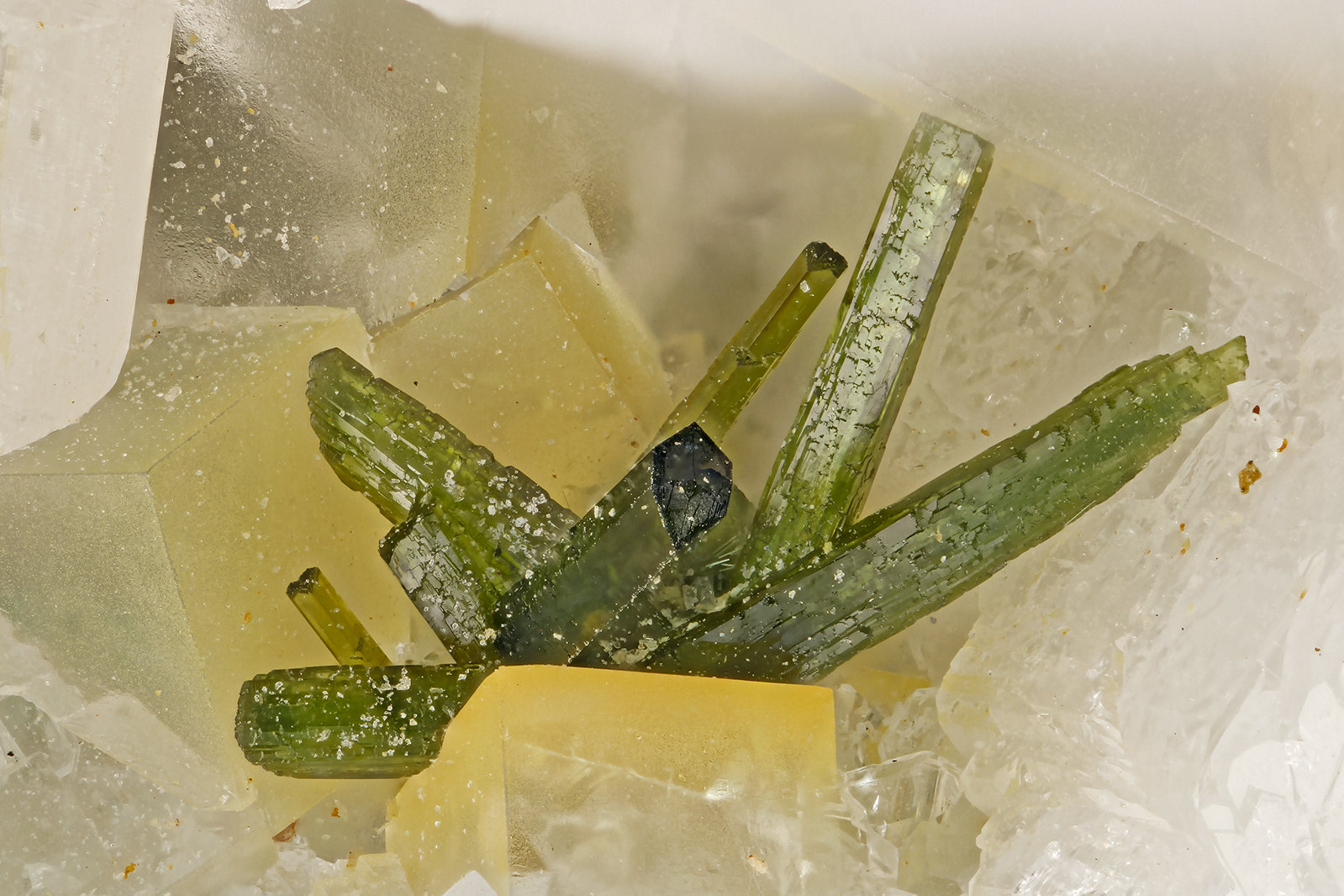 Olivenite
FOV = 3.4 mm
(Autor: Doug)