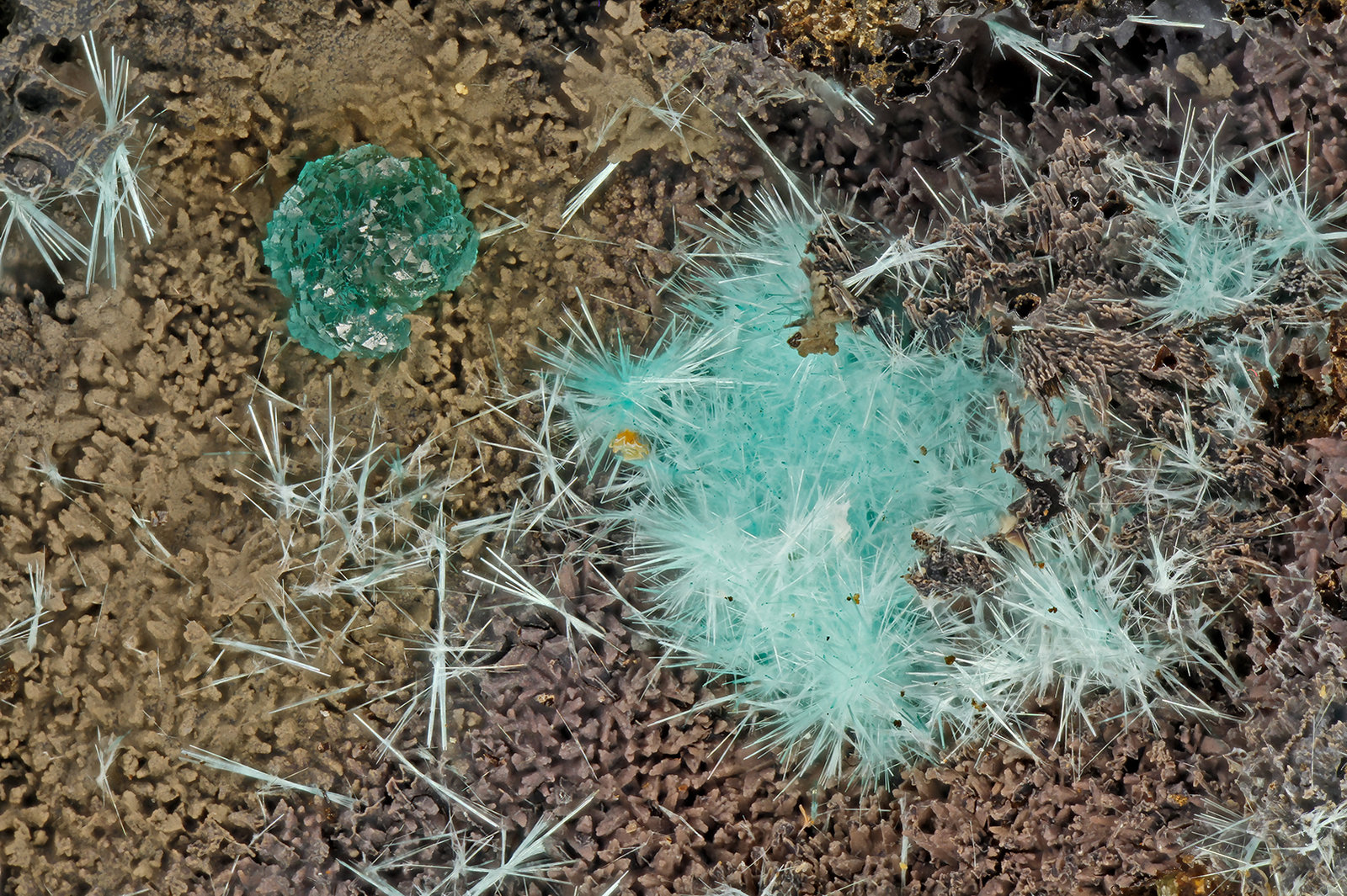 Mixite, Adamite
FOV = 3.9 mm
(Autor: Doug)