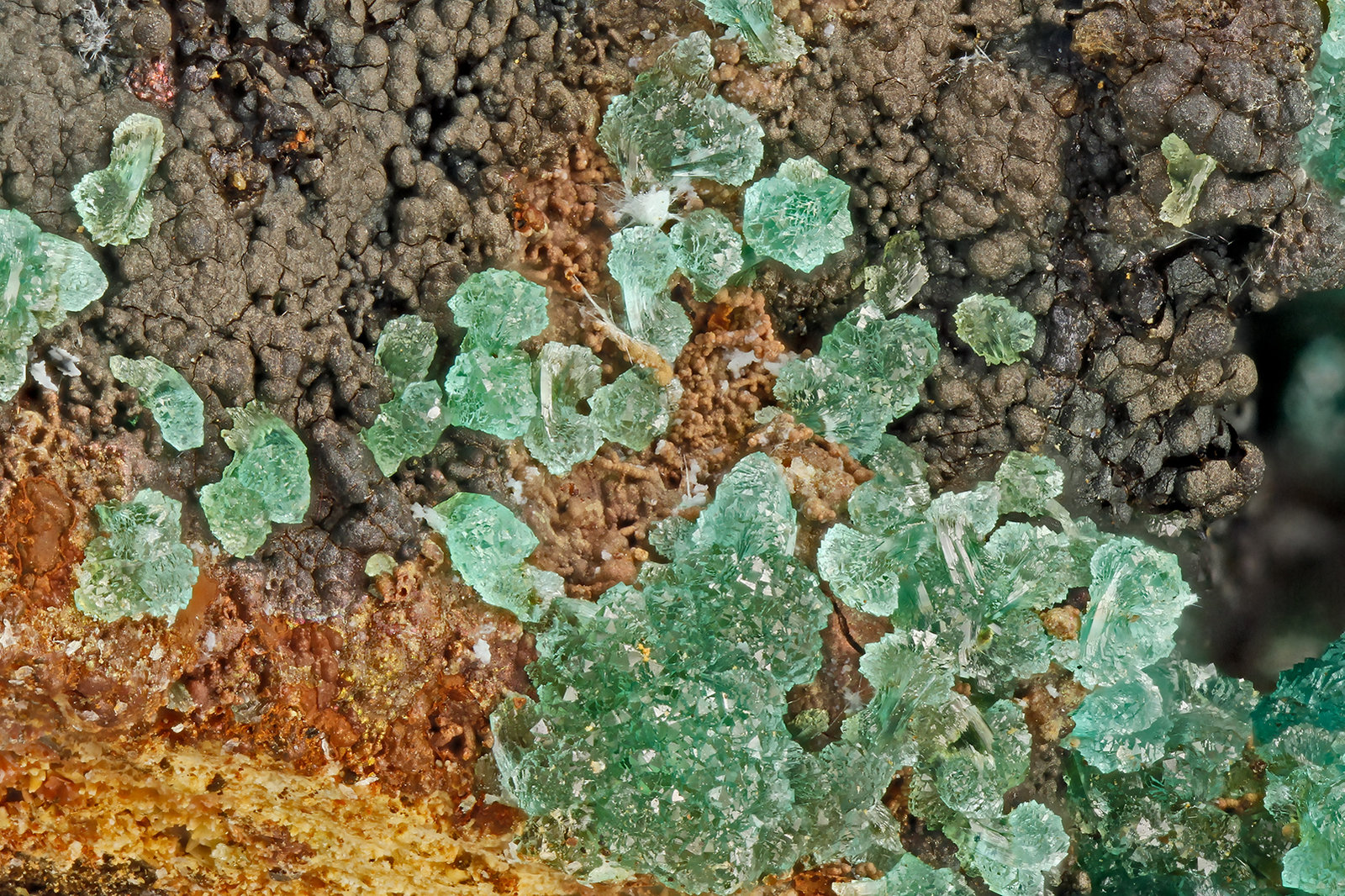 Adamite
FOV = 3.1 mm
(Autor: Doug)