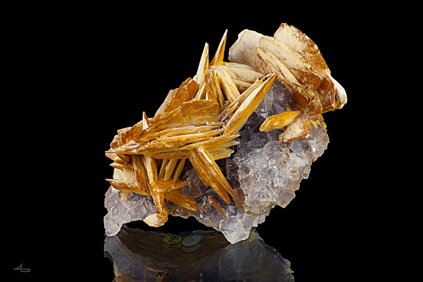 Baryte, Fluorite
11 x 7 x 6 cm
(Autor: Niels Brouwer)