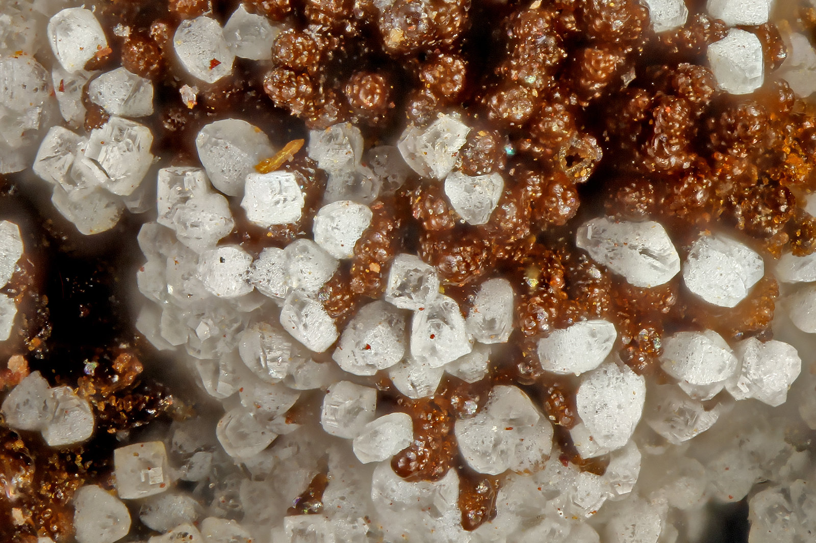 Wardite
FOV = 0.9 mm
(Autor: Doug)