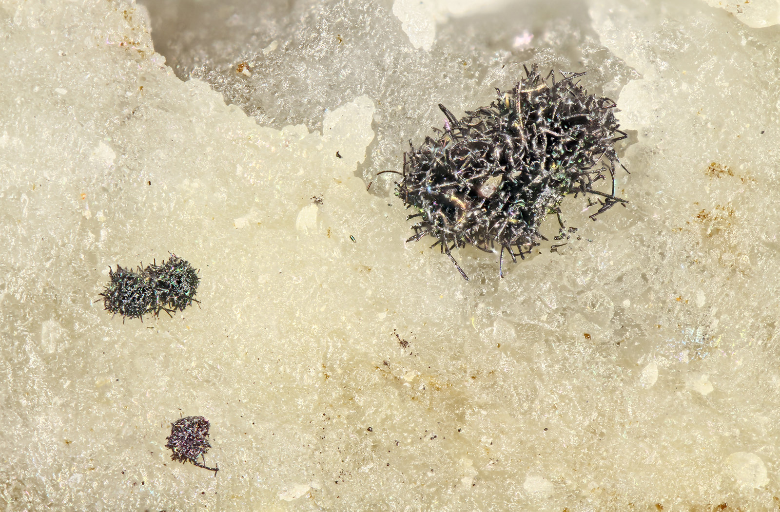 Selenium
FOV = 2.0 mm
(Autor: Doug)