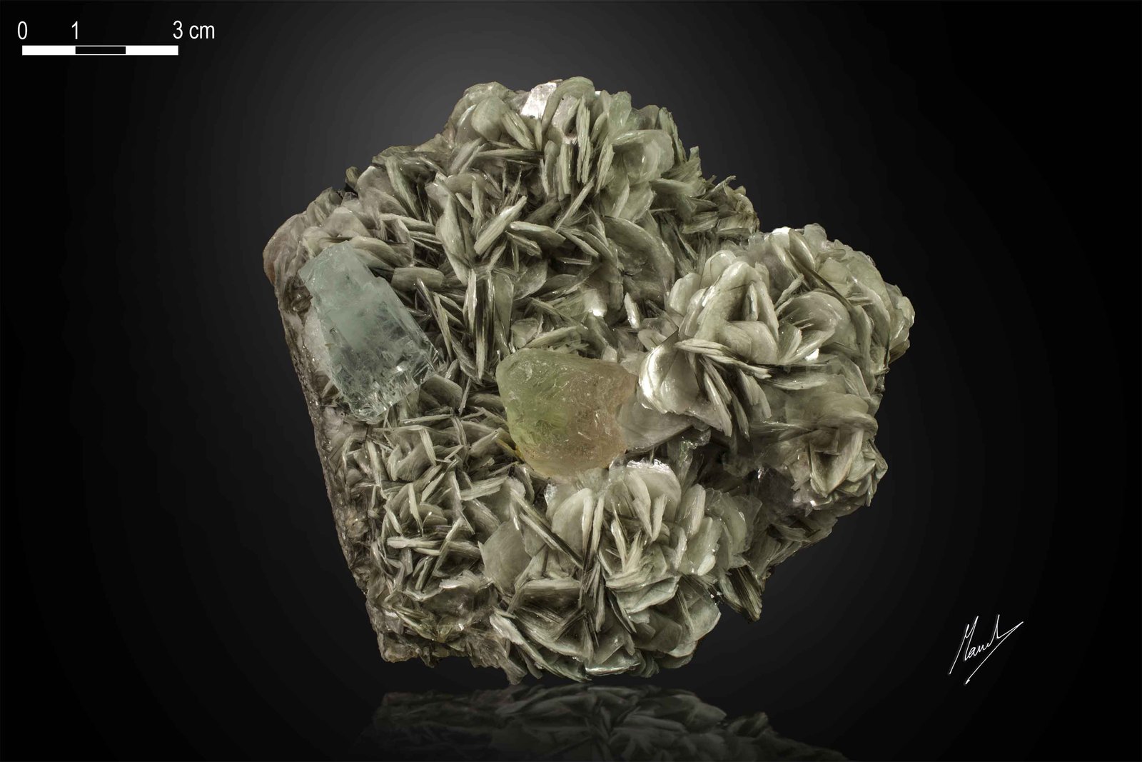 Fluorite, Beryl (variety aquamarine) and Muscovite
126 x 125 mm
(Autor: Manuel Mesa)