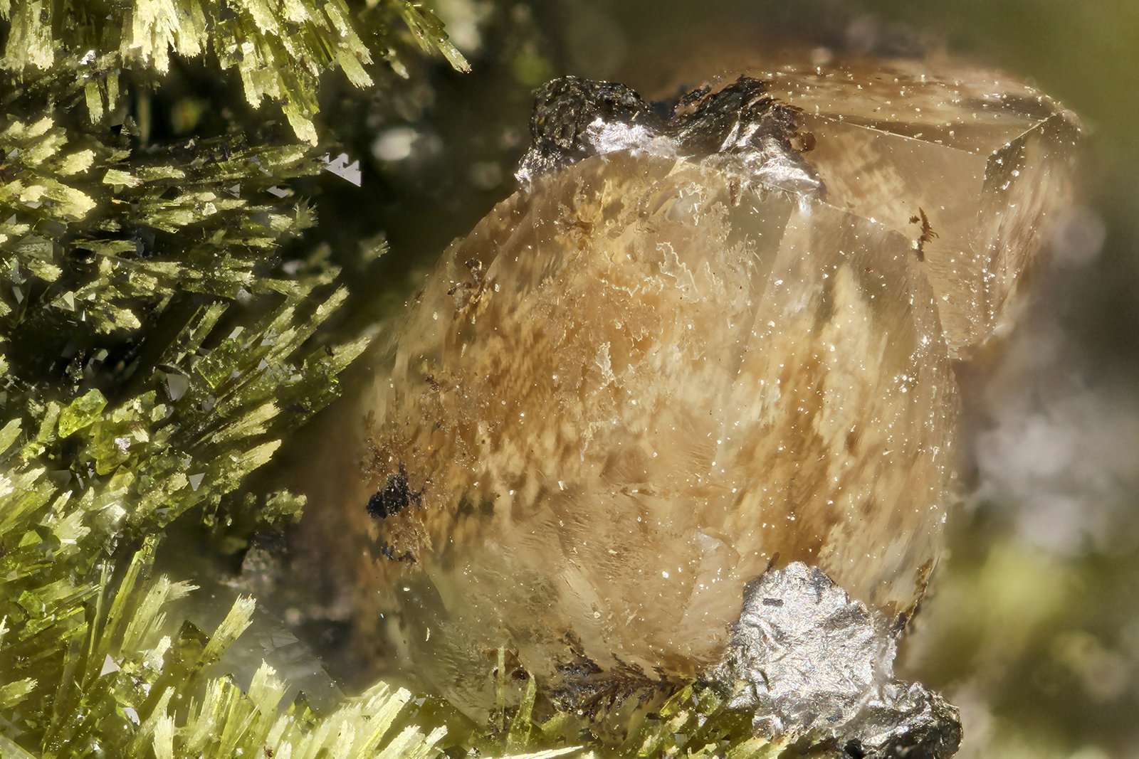 Calcite with Epidote
FOV = 3.3 mm
(Autor: Doug)