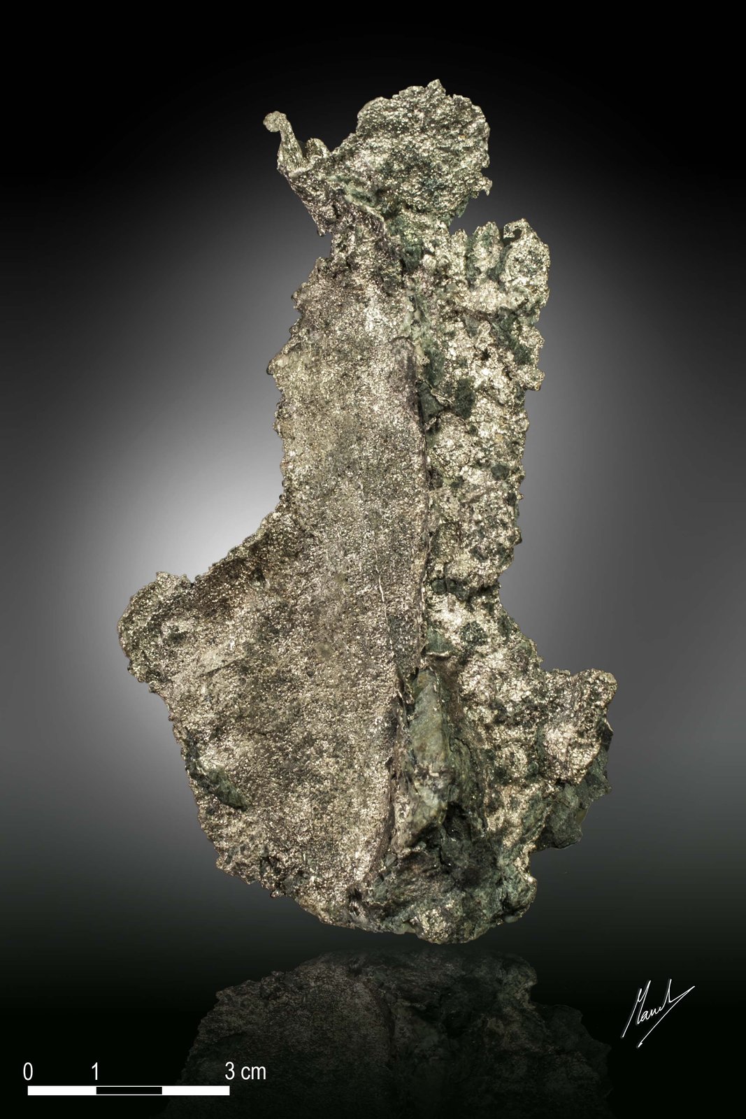 Silver
105 x 58 mm
(Autor: Manuel Mesa)