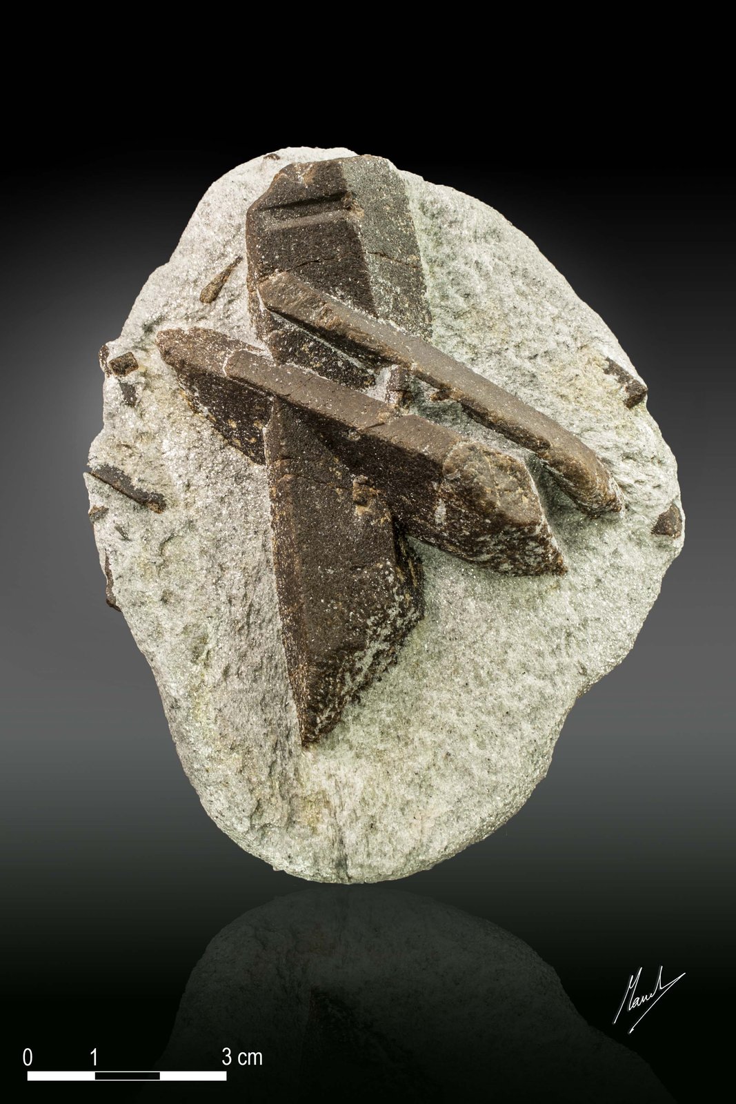 Staurolite
113 x 88 mm
(Autor: Manuel Mesa)