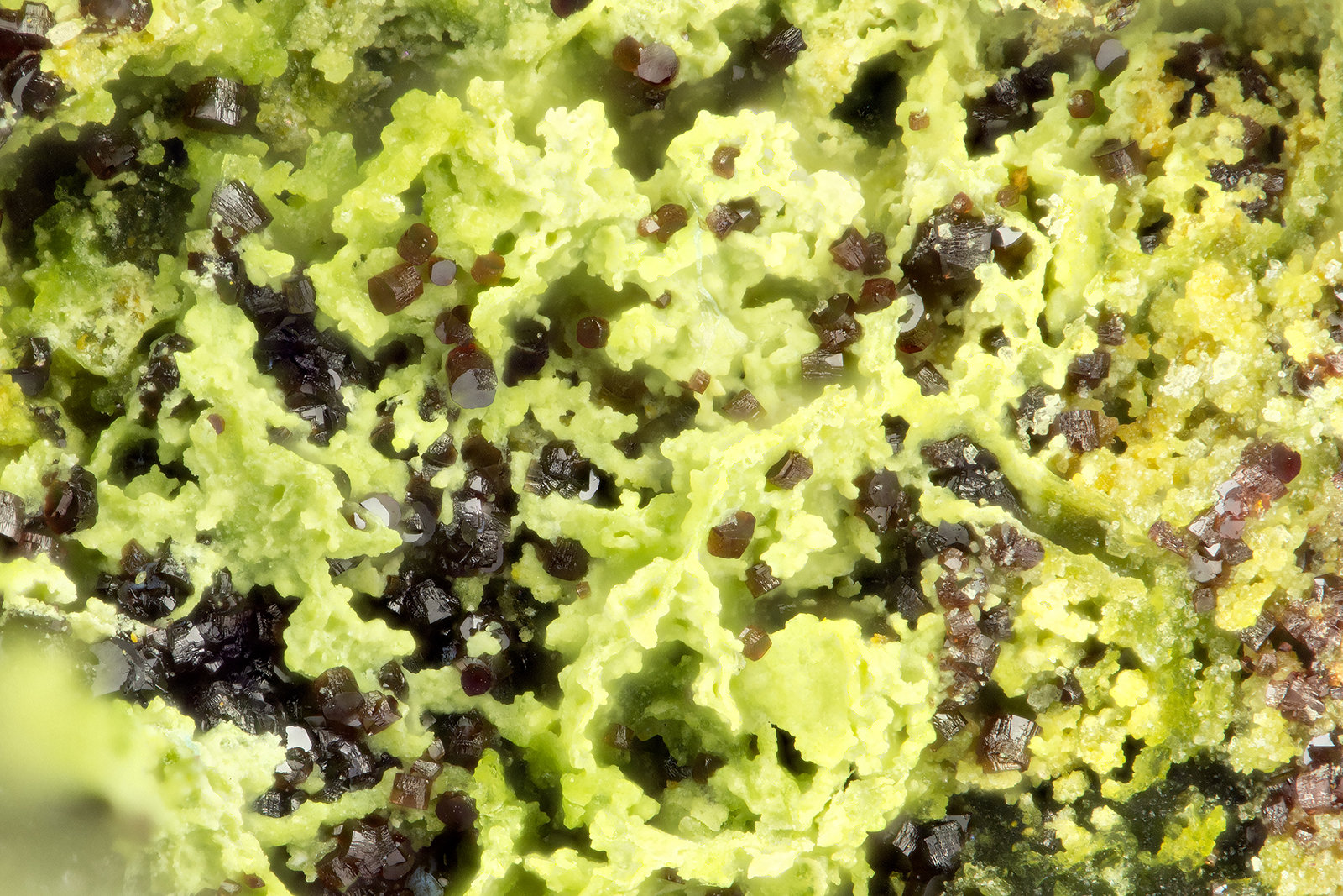 Beudantite
FOV = 1.2 mm
(Autor: Doug)