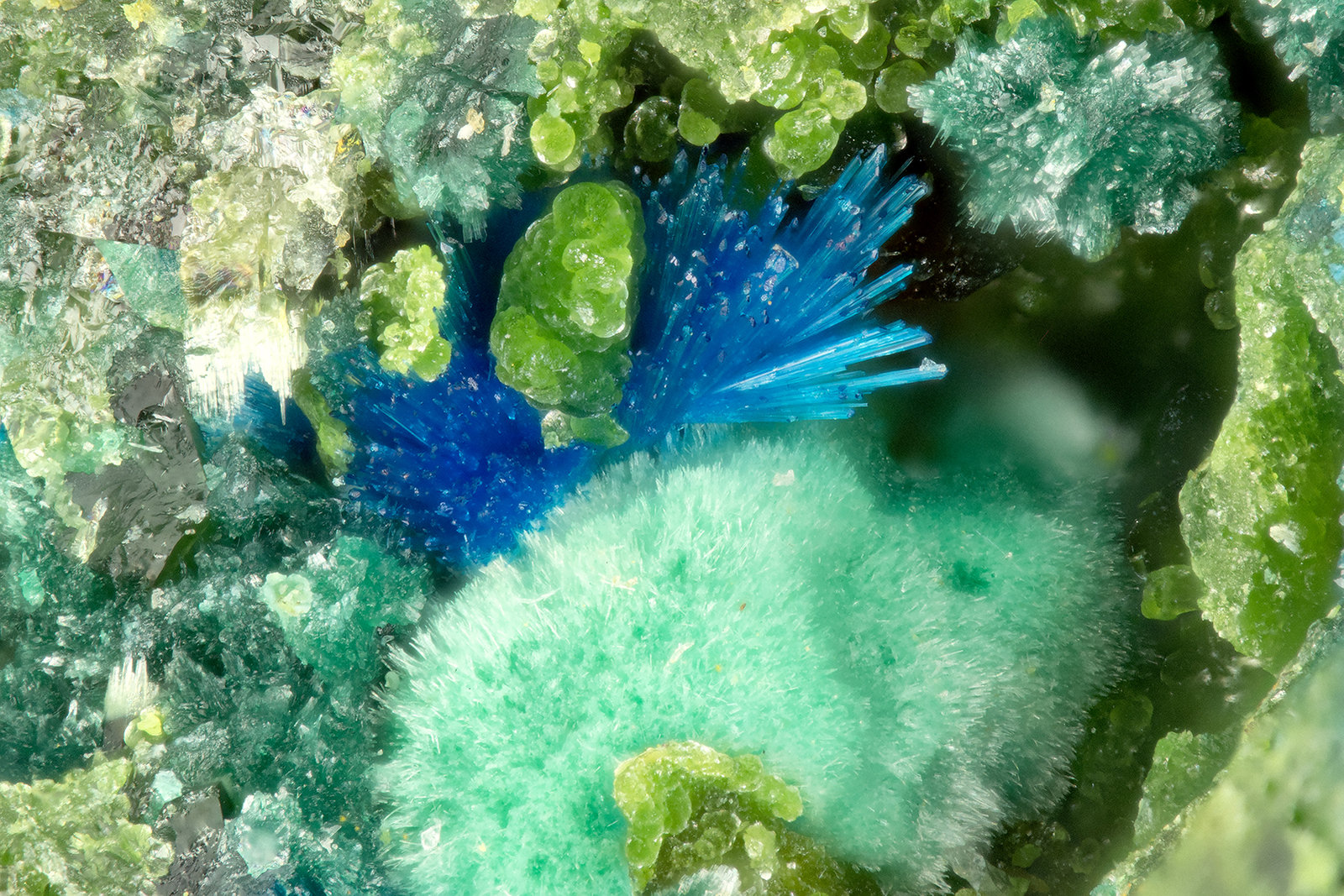 Connellite
FOV = 1.3 mm
(Autor: Doug)