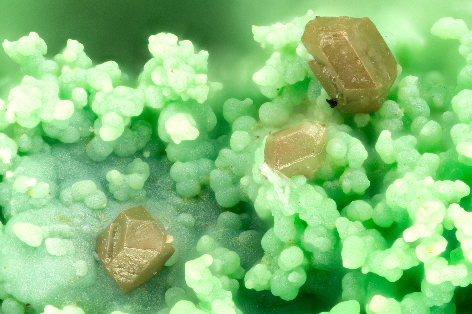 Chlorargyrite
FOV = 1.2 mm
(Autor: Doug)