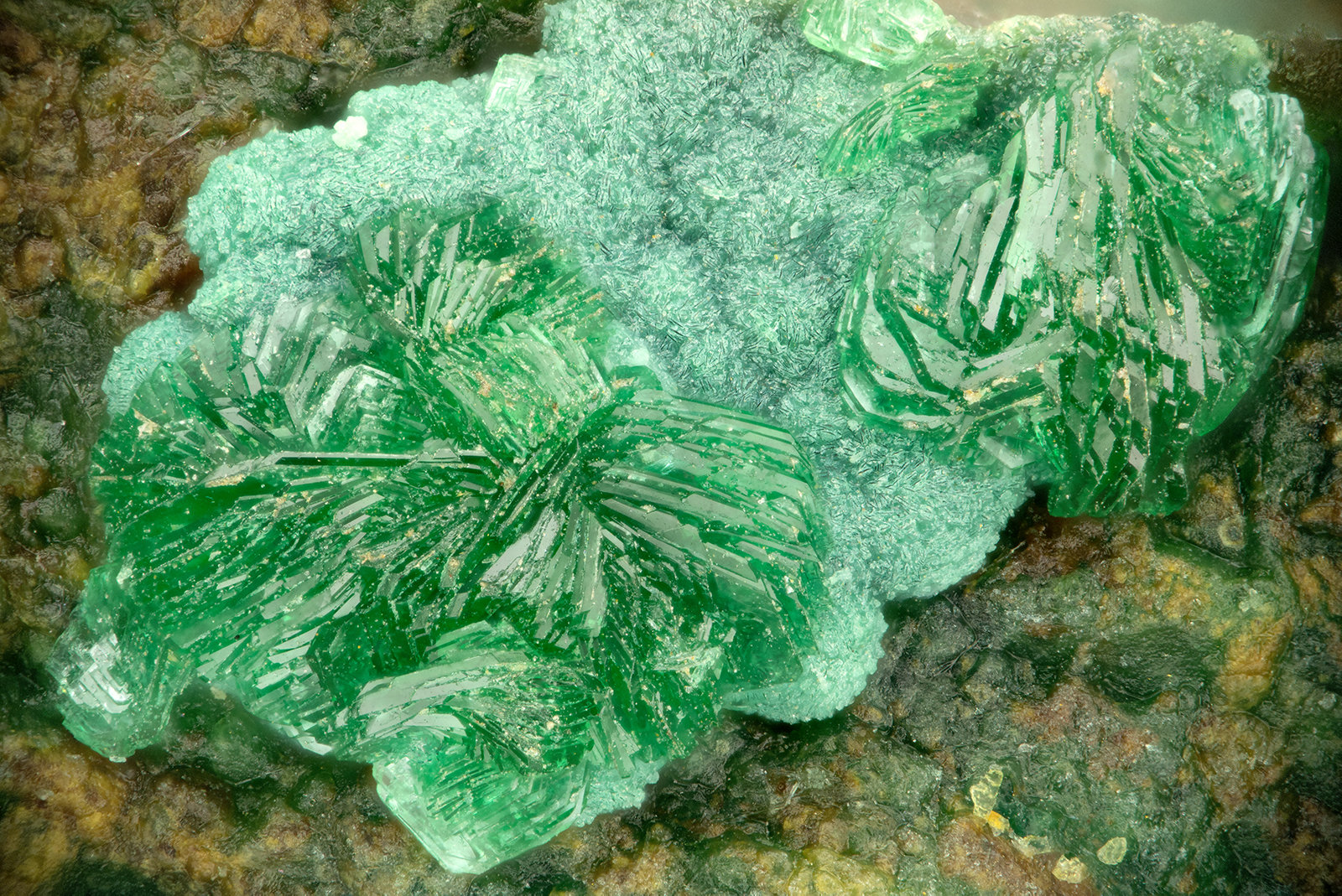 Philipsburgite
FOV = 1.9 mm
(Autor: Doug)