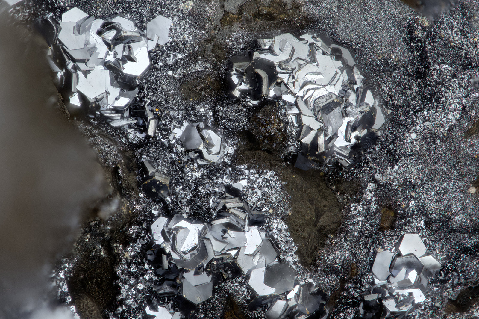 Chalcophanite, Hydrohetaerolite
FOV = 1.5 mm
(Autor: Doug)