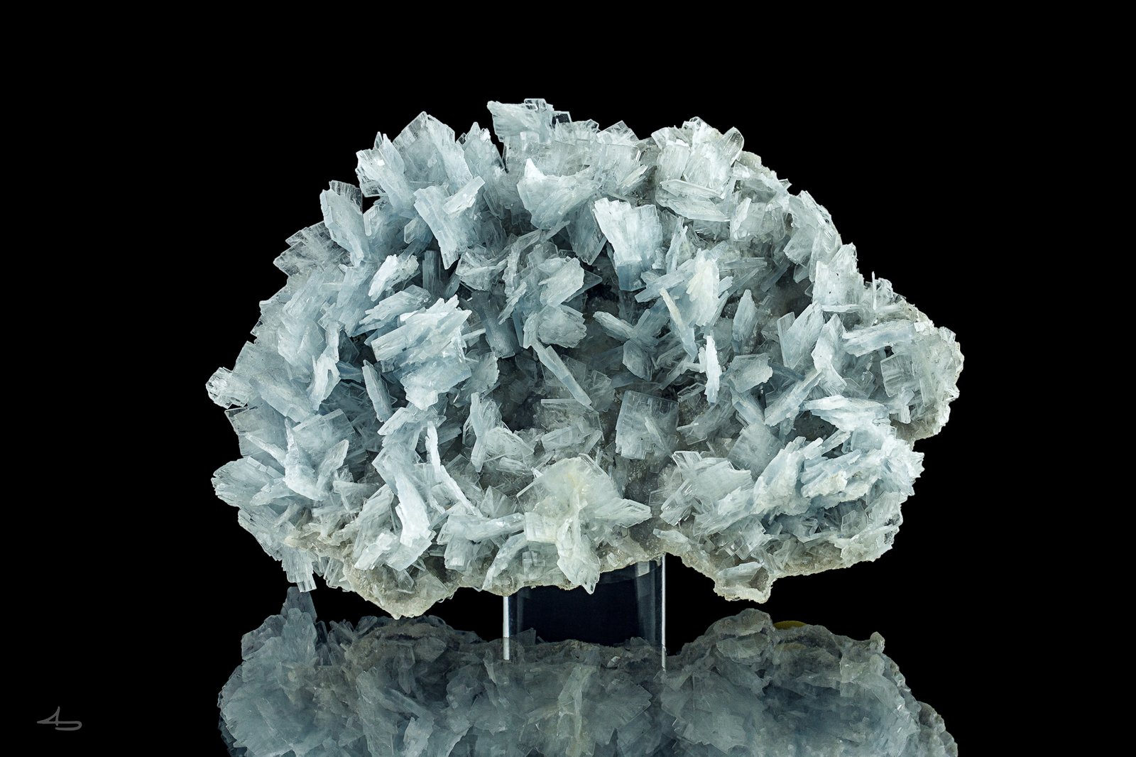 9,5 x 6,5 x 2 cm
(Autor: Niels Brouwer)