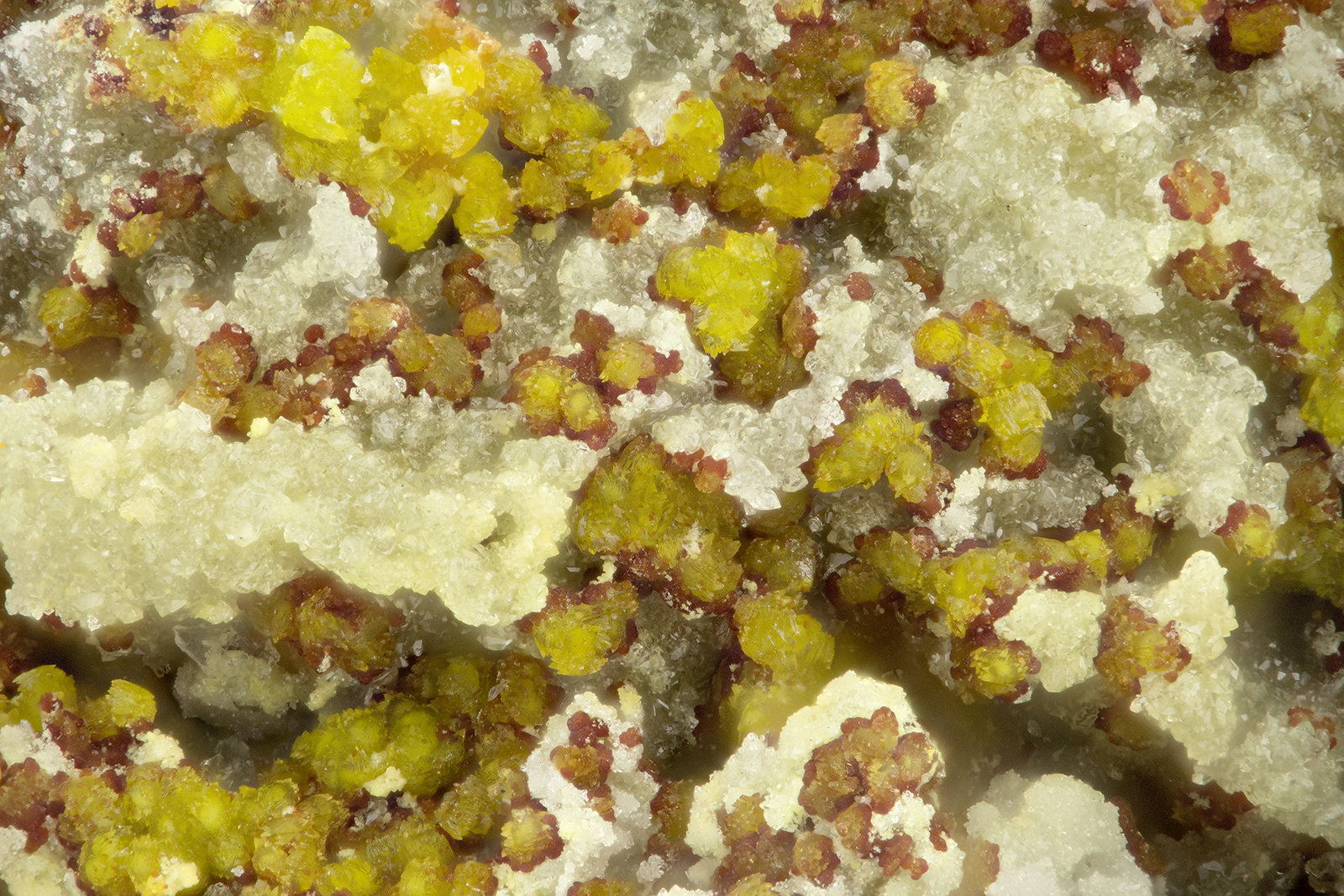 Gartrellite, Carminite
FOV = 1.7 mm
(Autor: Doug)
