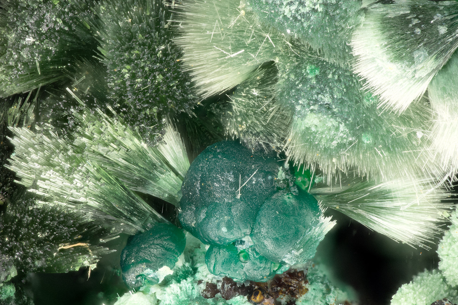 Olivenite, Cornwallite
FOV = 3.5 mm
(Autor: Doug)
