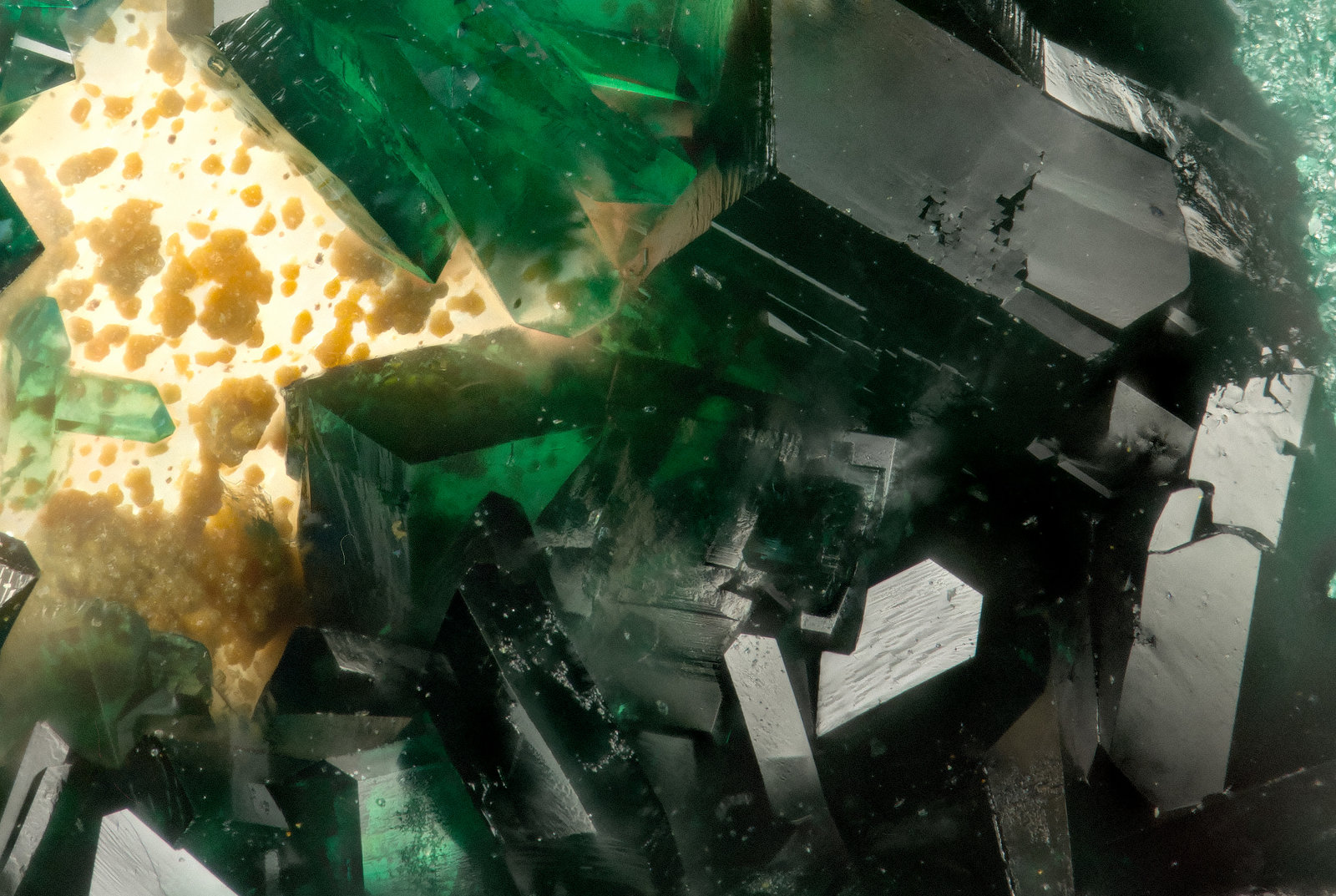 Brochantite
FOV = 1.4 mm
(Autor: Doug)