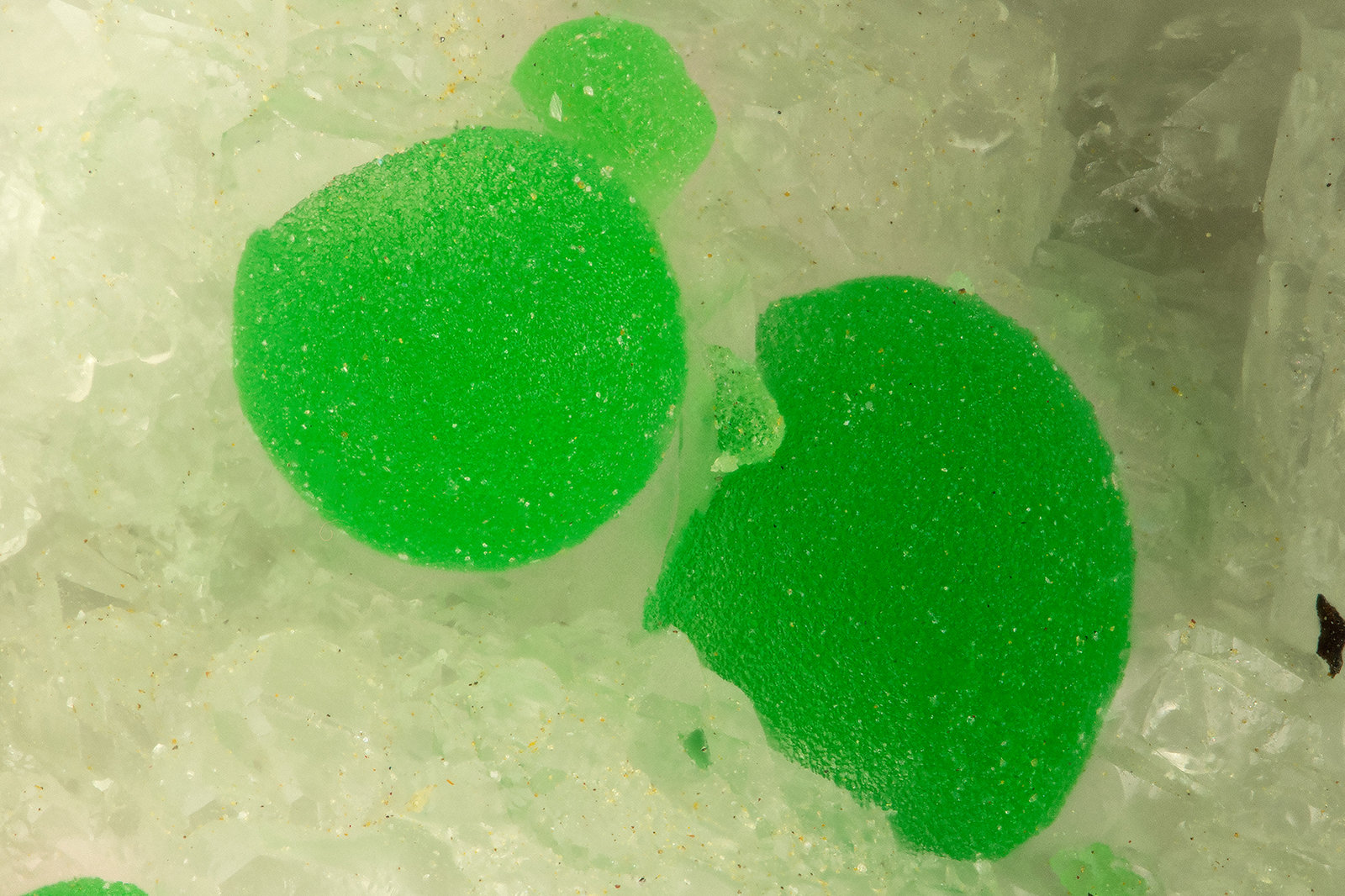 Conichalcite
FOV = 1.2 mm
(Autor: Doug)