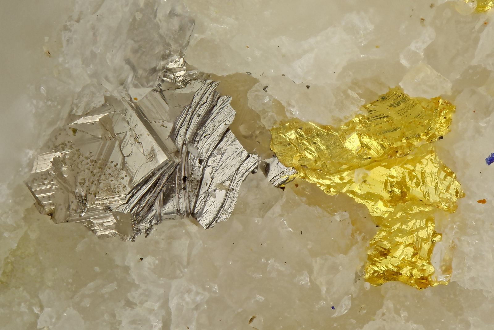 Rucklidgite, Gold
FOV = 1.4 mm
(Autor: Doug)