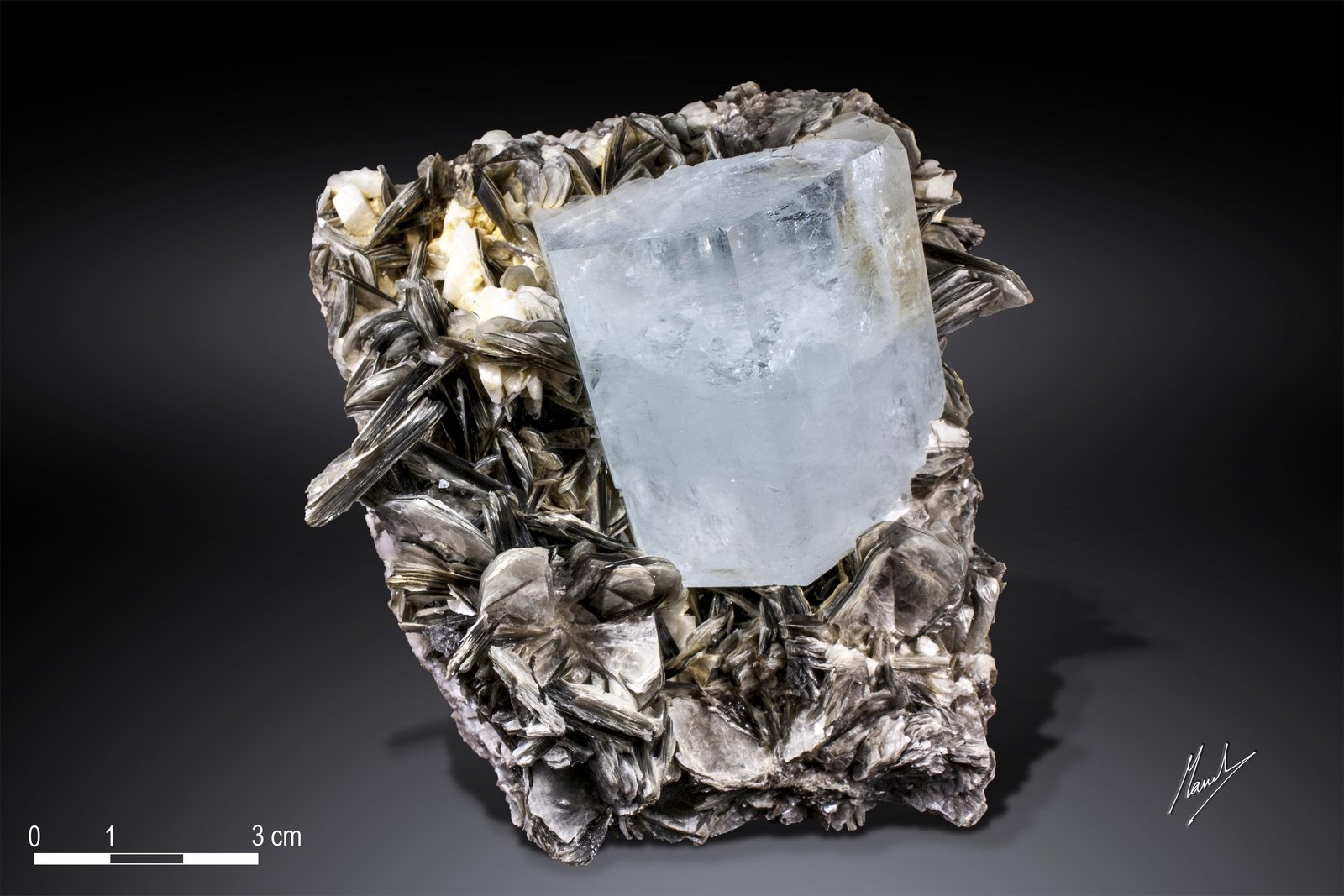 Beryl (variety aquamarine)
105 X 81 mm
(Autor: Manuel Mesa)