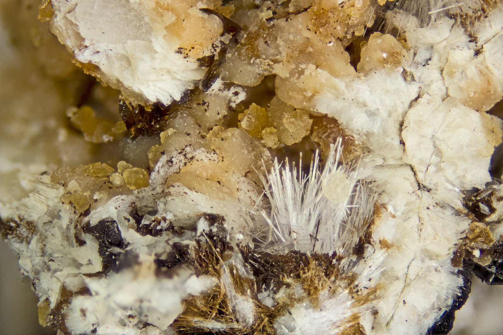 Adamsite-(Y)
FOV = 4mm
(Autor: Doug)