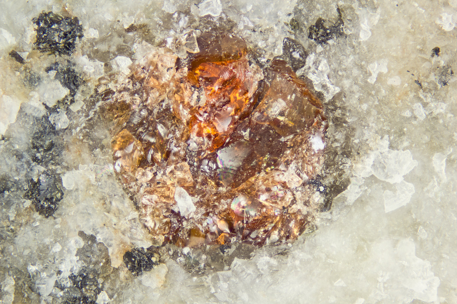 Almandine
FOV = 4mm
(Autor: Doug)