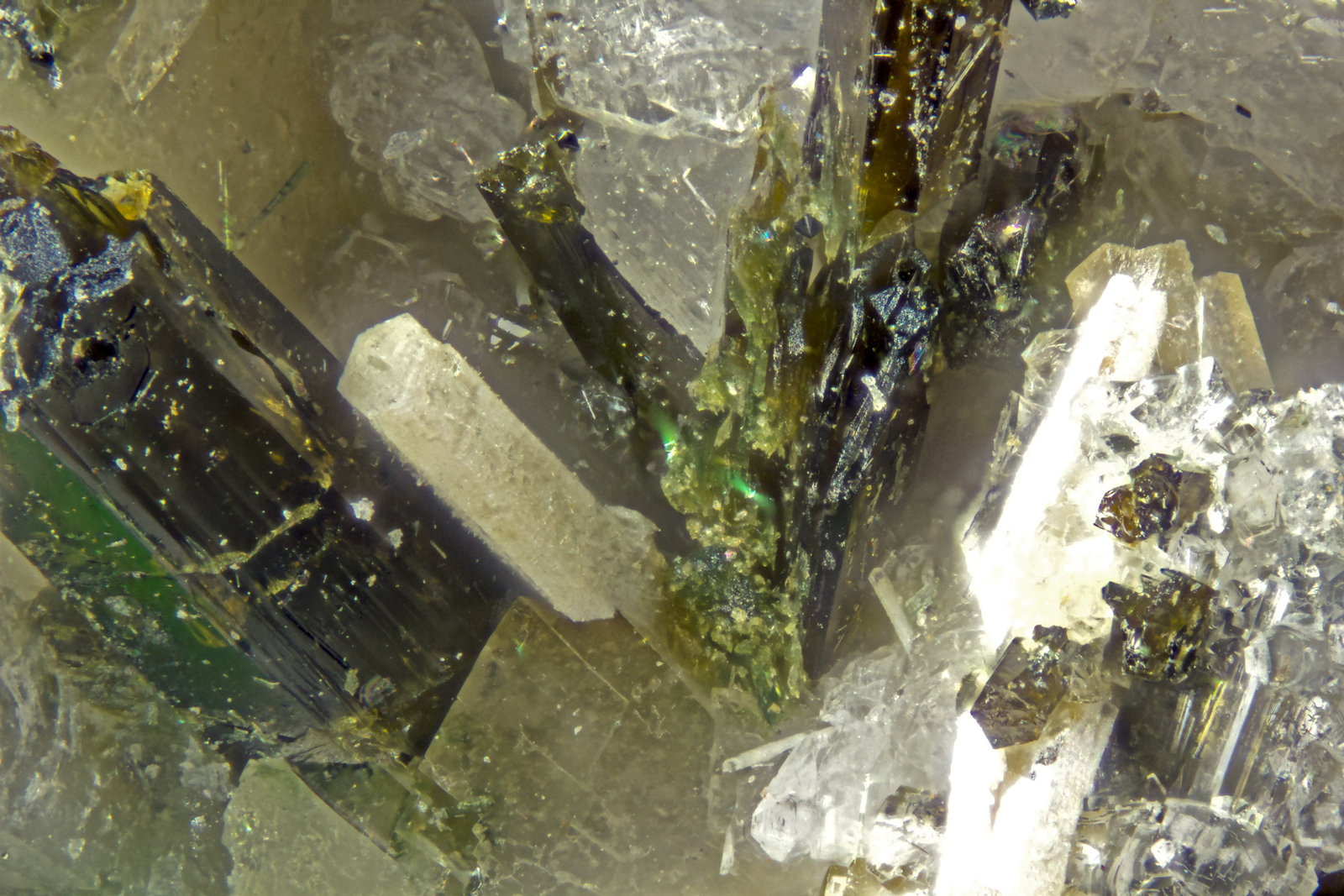 Calcioburbankite
FOV = 1.2mm
(Autor: Doug)