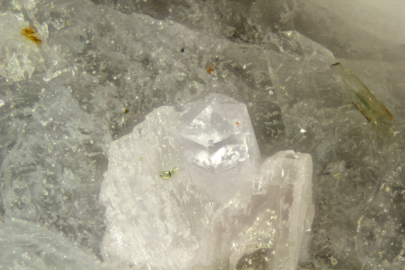 Cancrisilite
FOV = 1.2mm
(Autor: Doug)