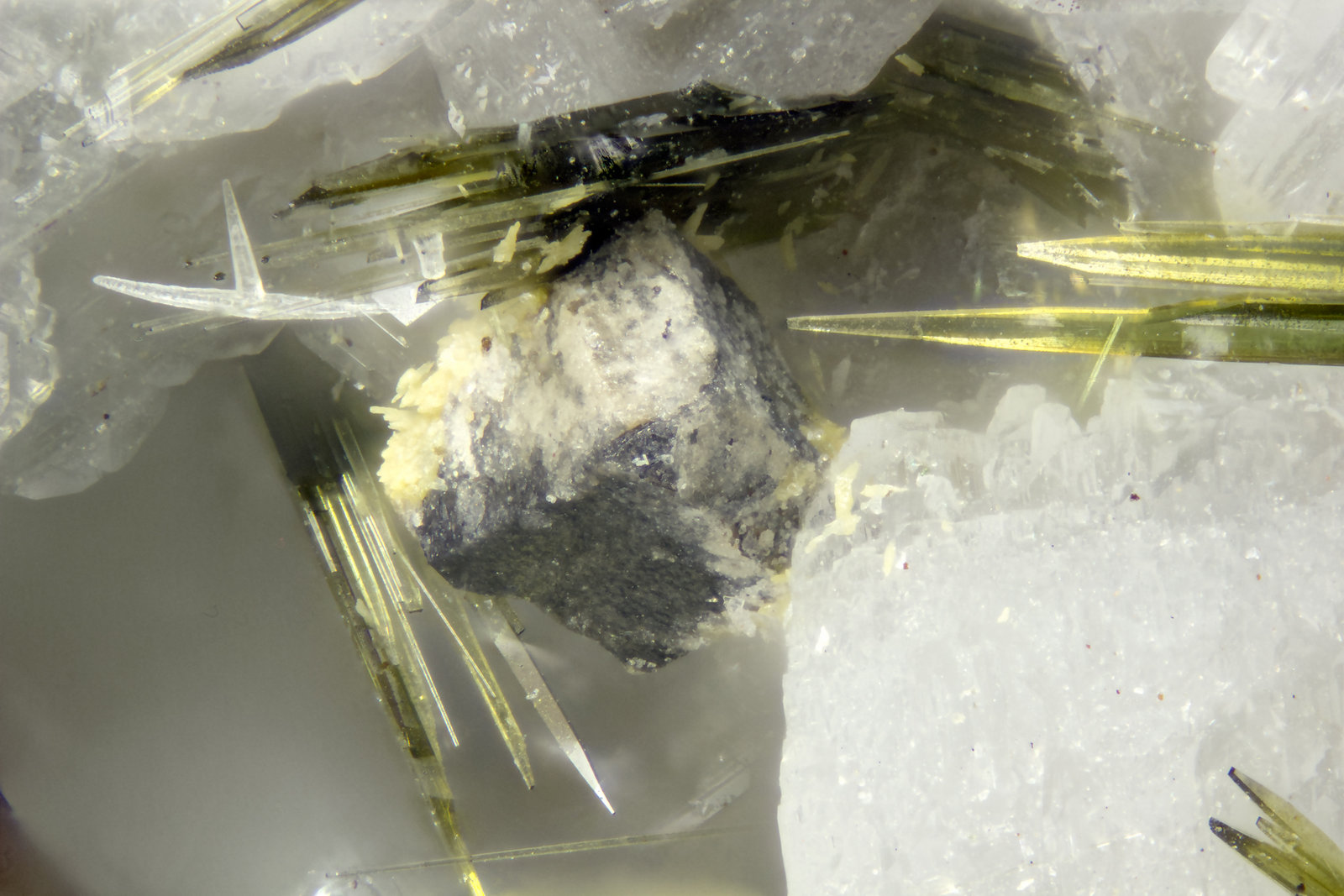 Cerussite  Wulfenite  Galena  Aegirine
FOV = 2mm
(Autor: Doug)