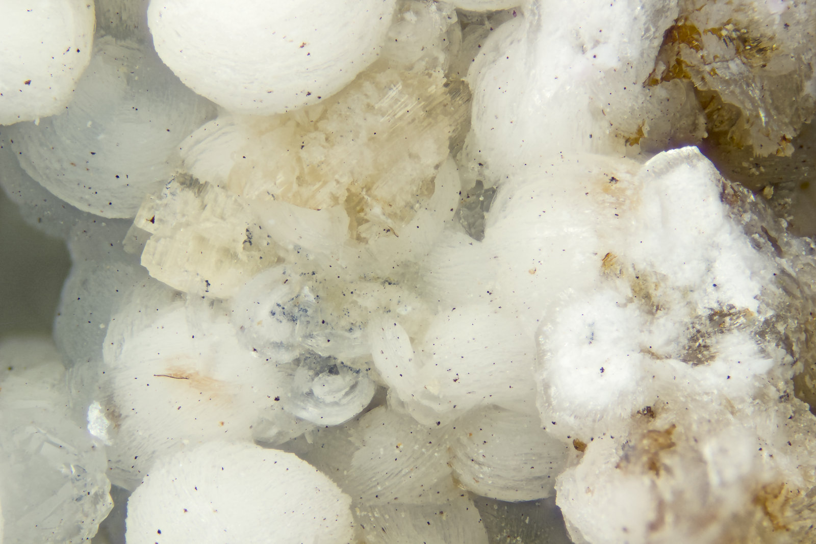 Chabazite-Na Horvathite-(Y)
FOV = 4mm
(Autor: Doug)
