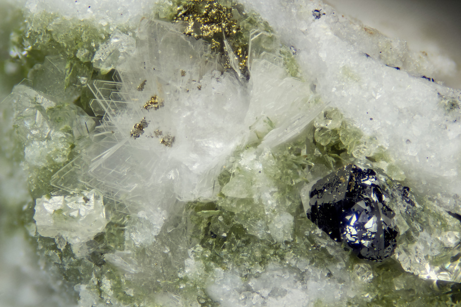 Eudidymite  Anatase  Pyrite
FOV = 4mm
(Autor: Doug)