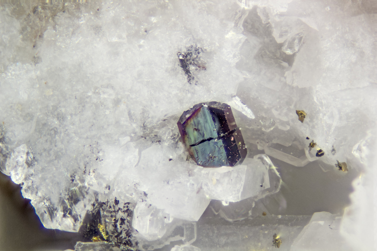 Columbite-(Fe)
FOV = 1.2mm
(Autor: Doug)