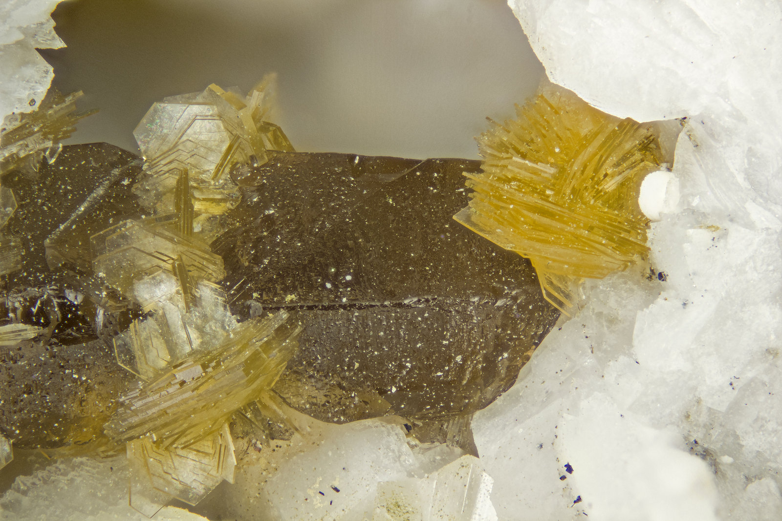 Gmelinite-Na  Franconite
FOV = 4mm
(Autor: Doug)
