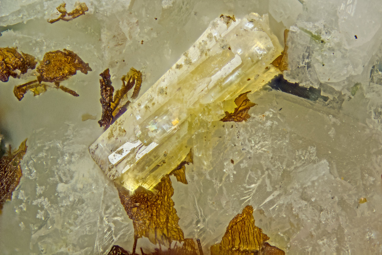 Haineaultite
FOV = 2mm
(Autor: Doug)